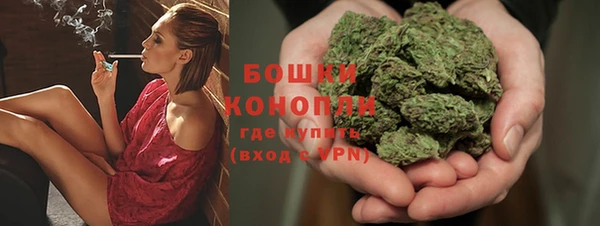 амф Горнозаводск