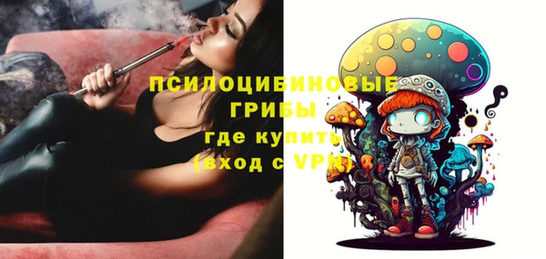 амф Горнозаводск